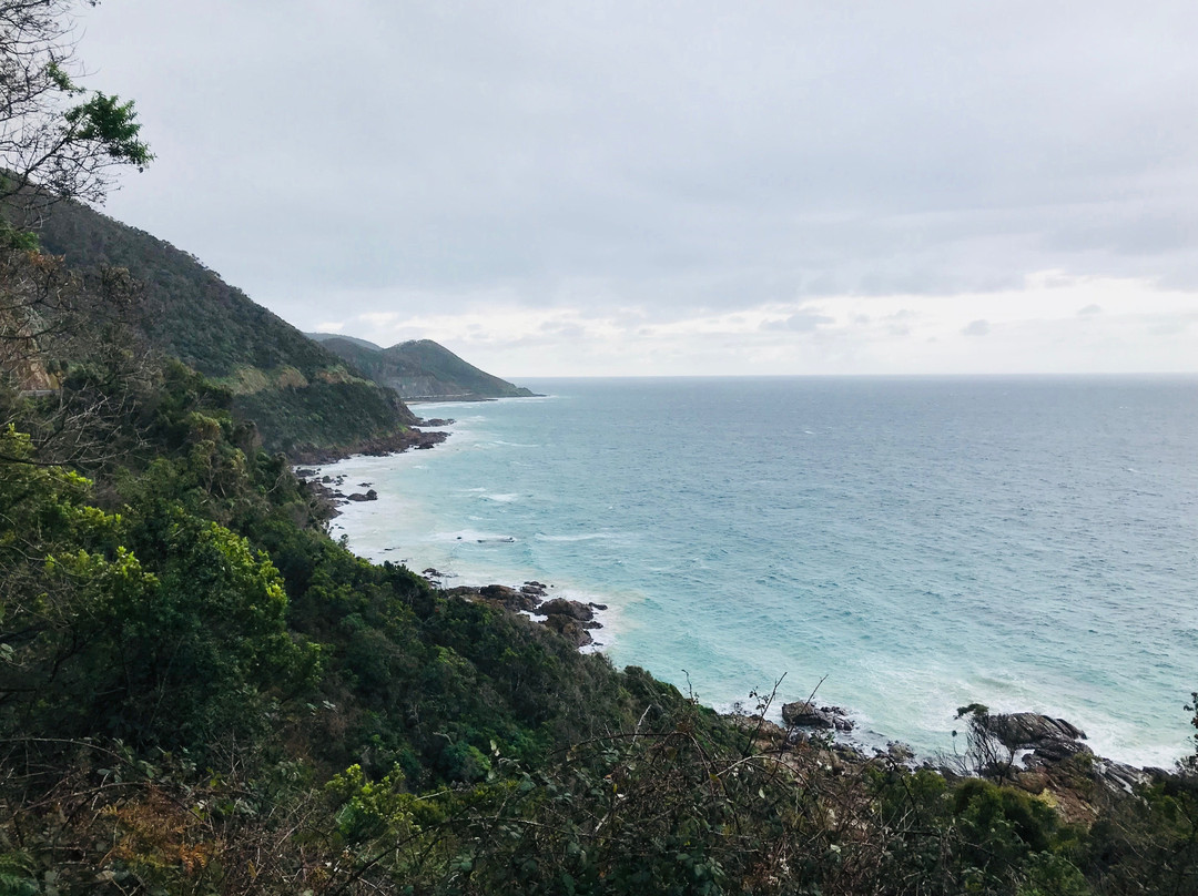 Mount Defiance Lookout-Wye River必去景点