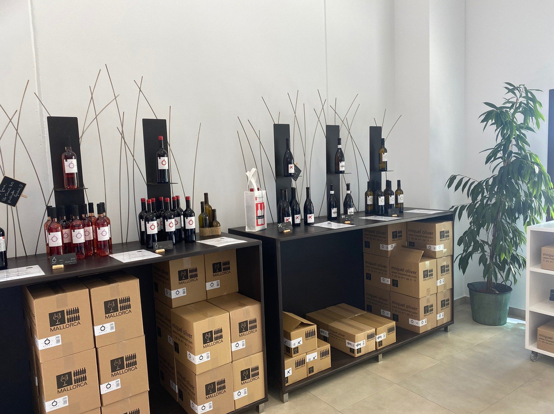 Bodegas Miquel Oliver景点图片