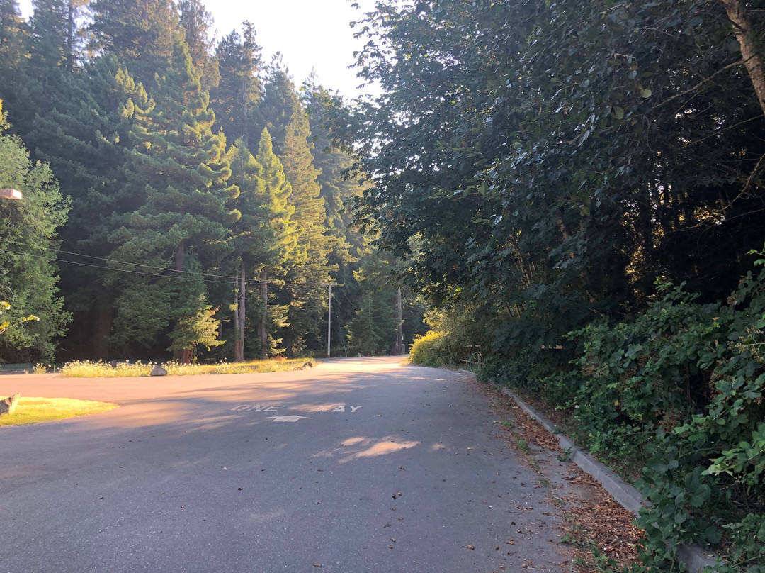 Ancient Redwoods RV Park