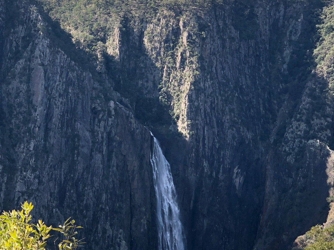 Wollomombi Falls景点图片