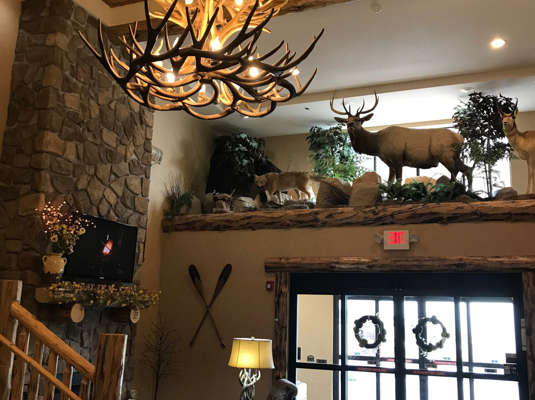 Holiday Inn Express & Suites Donegal By IHG主图