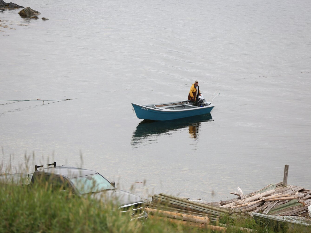 Neddies Harbour Inn主图