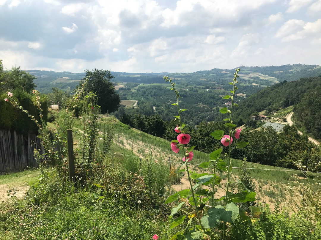 Agriturismo Sondrea主图