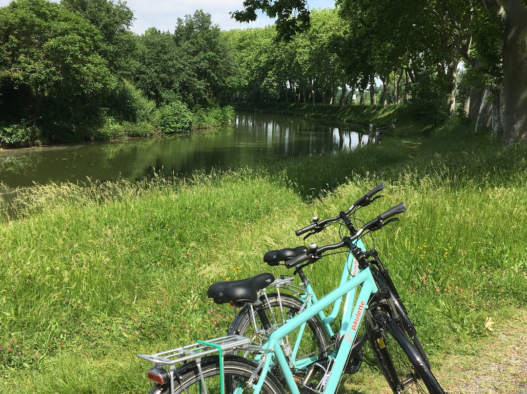 Paulette - Location de vélo-图卢兹必去景点