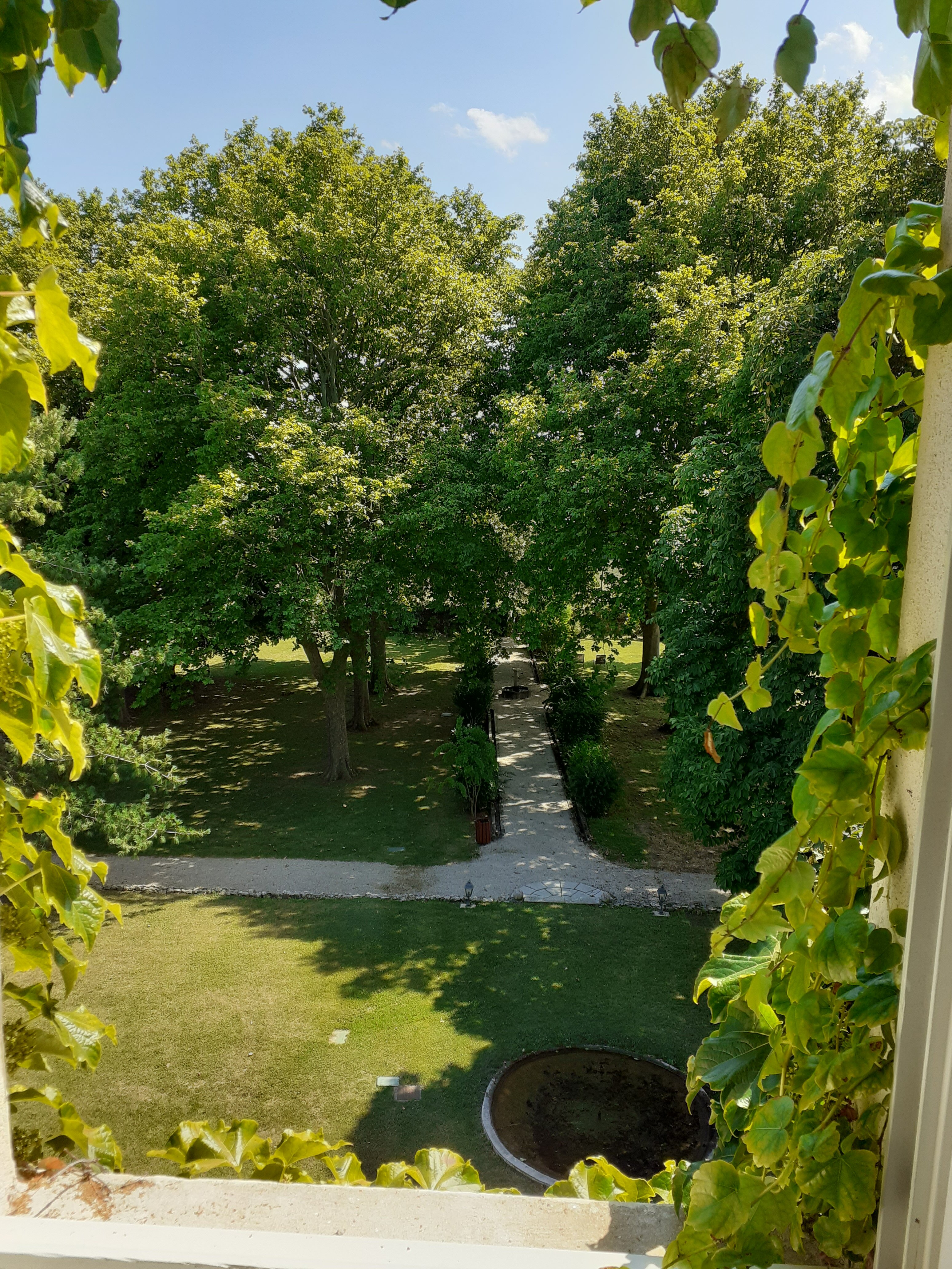 Domaine Du Colombier-酒店景观