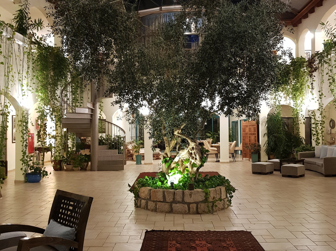 阿米雷哈加利精品酒店主图