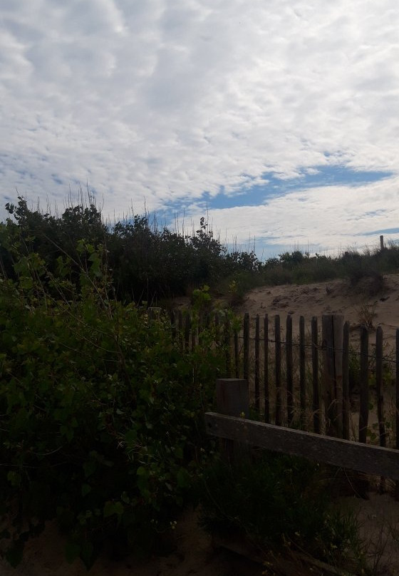 The Dunes of Bredene-布雷德内必去景点