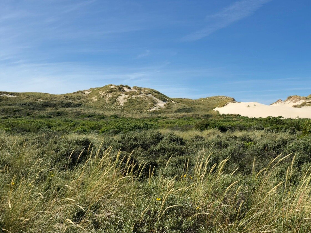 Groene Strand Beach-West-Terschelling必去景点