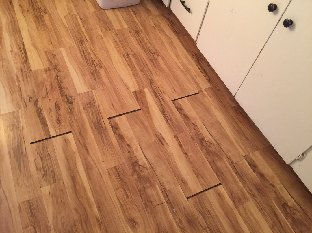 Ireland's Rustic Lodges主图