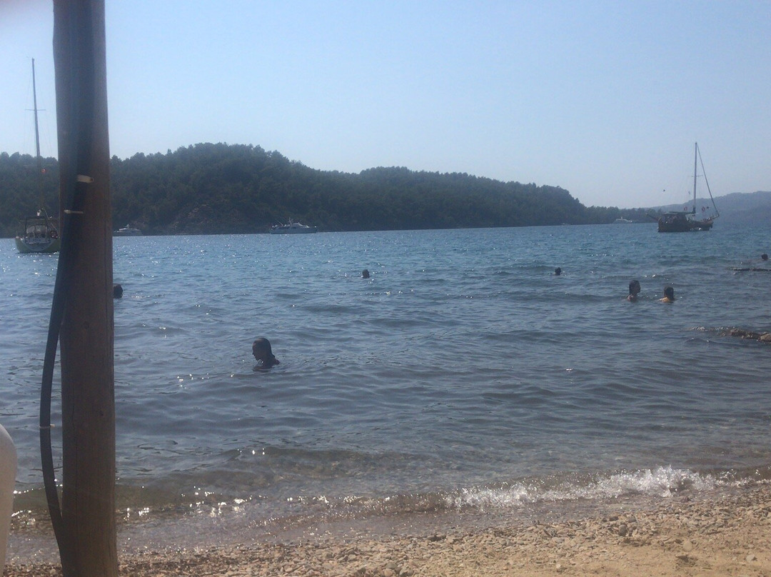 Sakin Vadi Winehouse主图