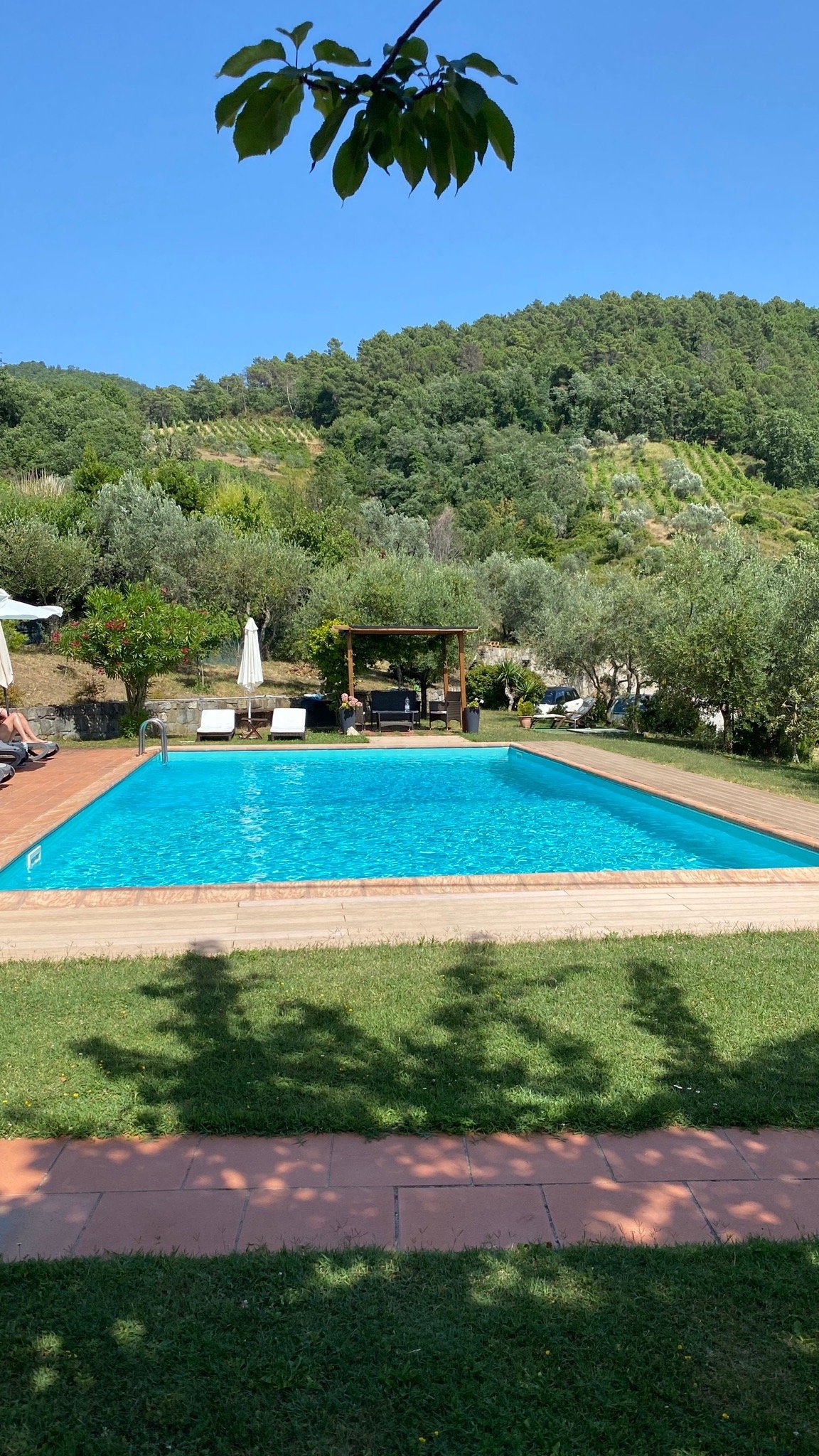 Poggio all'Olmo-官方