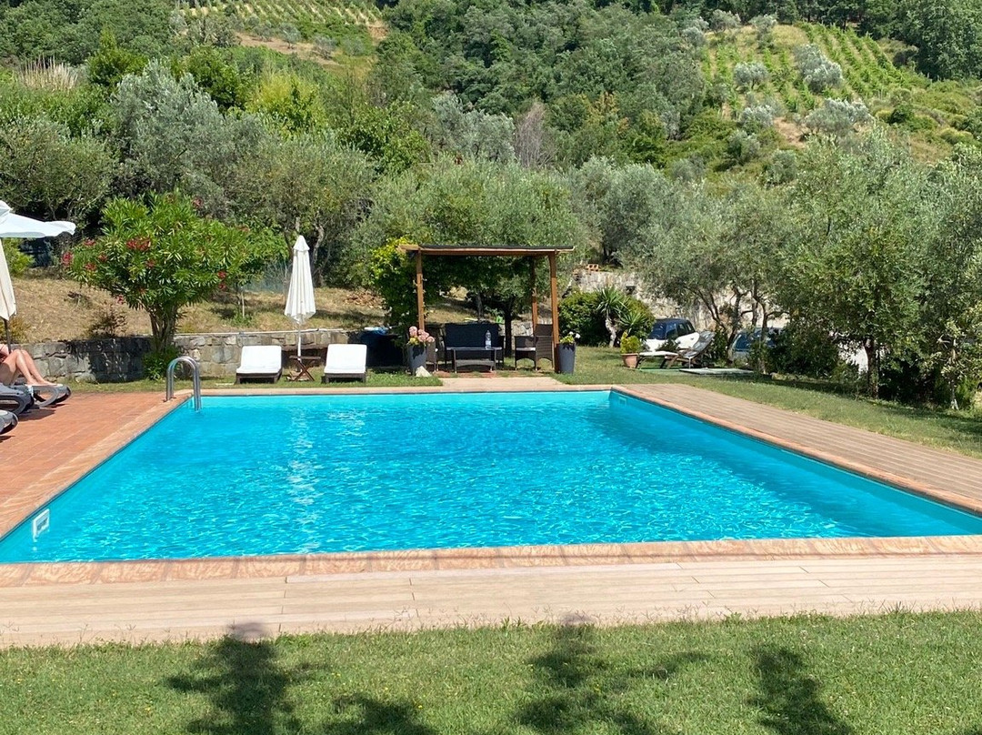 Poggio all'Olmo主图