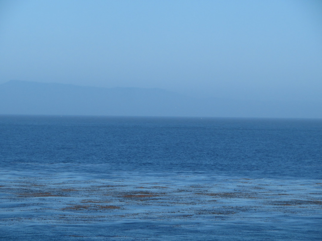 Lighthouse Field State Beach-圣克鲁斯必去景点