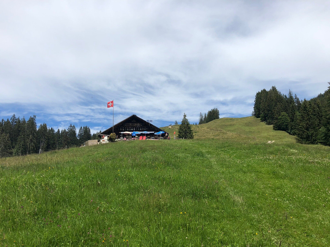 Alp Heubühlen景点图片