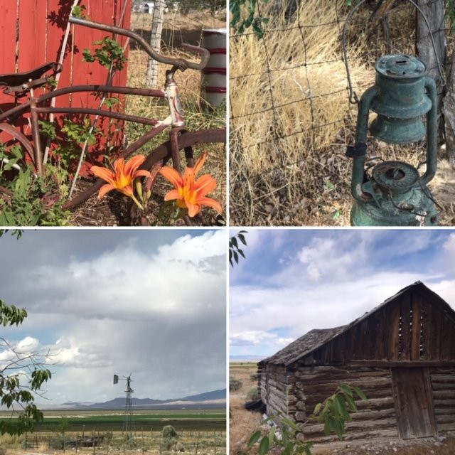 The Whispering Elms Motel主图