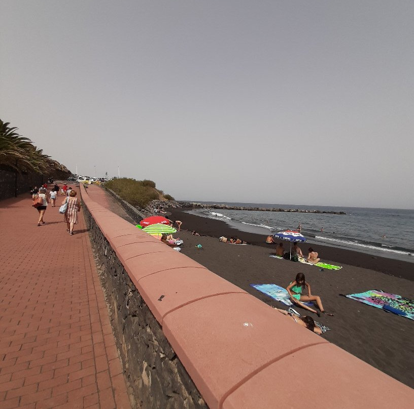 Playa de La nea景点图片