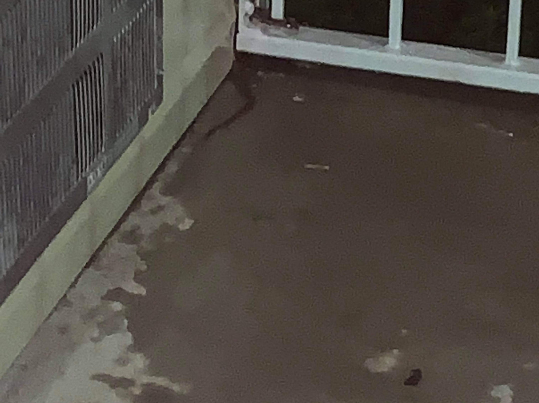 Super 8 by Wyndham Madison主图