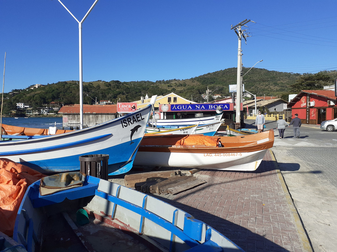 Residencial de Cesaro主图