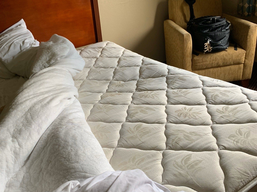 Quality Inn Morris I-80主图