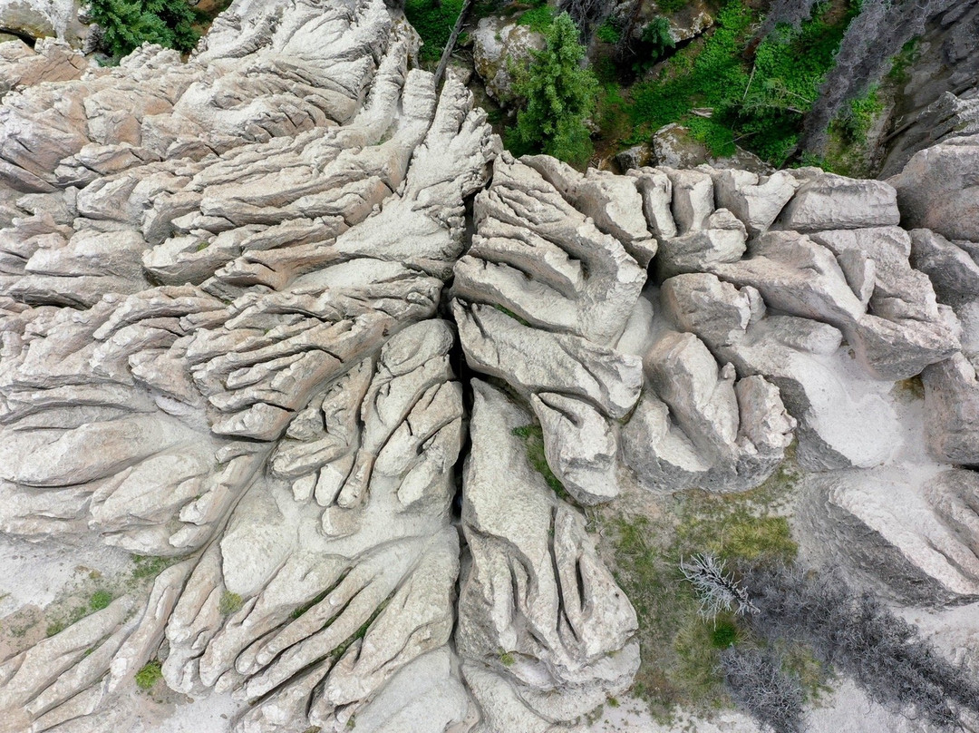 Wheeler Geologic Area-Creede必去景点