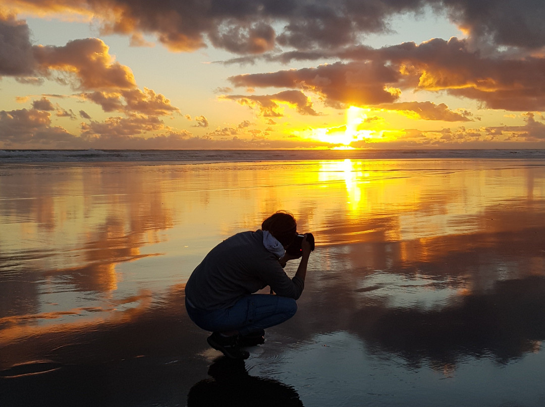 Trippy - West Auckland Adventures-皮哈海滩必去景点