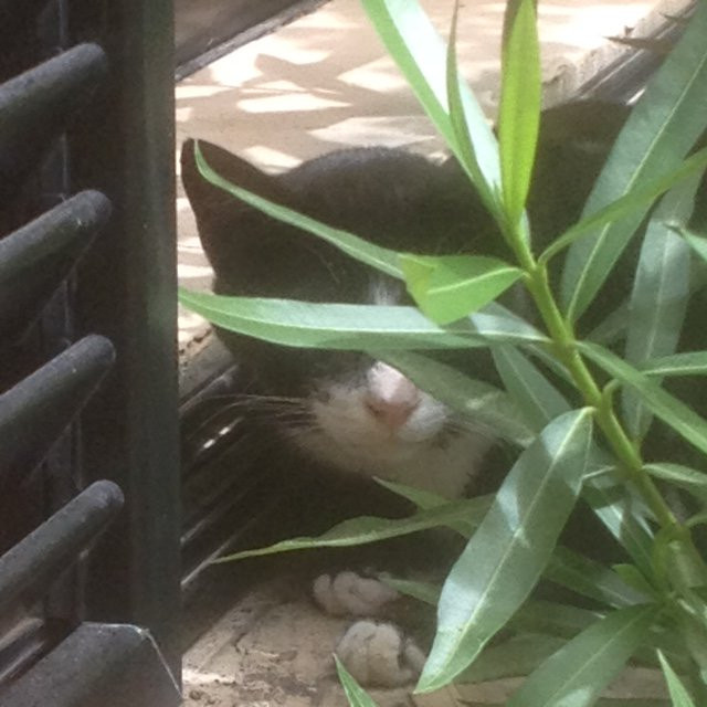 Hotel Ta' Cenc & Spa主图