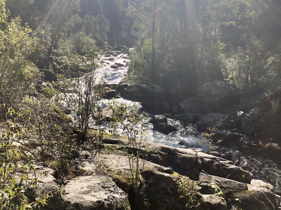Fainter Falls-Mount Beauty必去景点