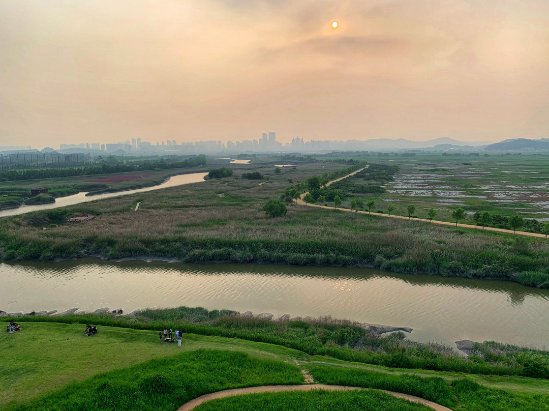 Gaetgol Eco Park-始兴市必去景点