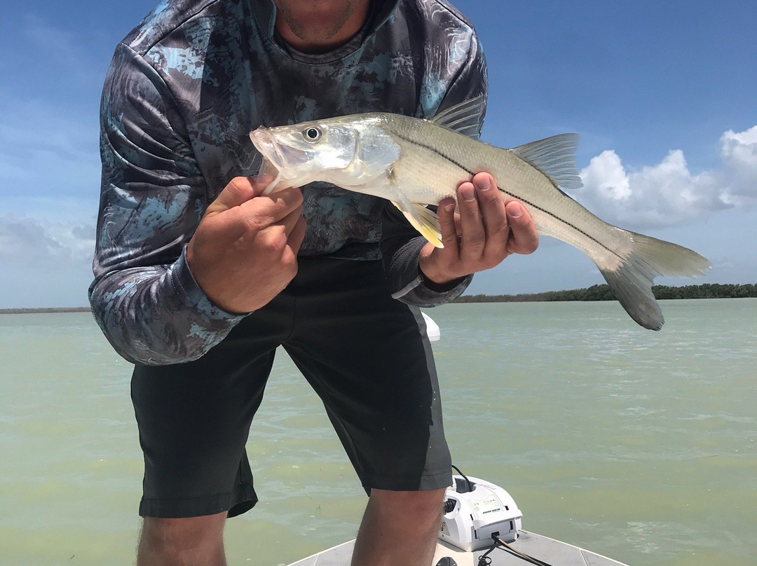 Florida Keys Flats Fishing-Tavernier必去景点