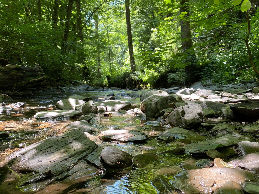 Erlebnisweg Tal der Wilden Endert-科赫姆必去景点