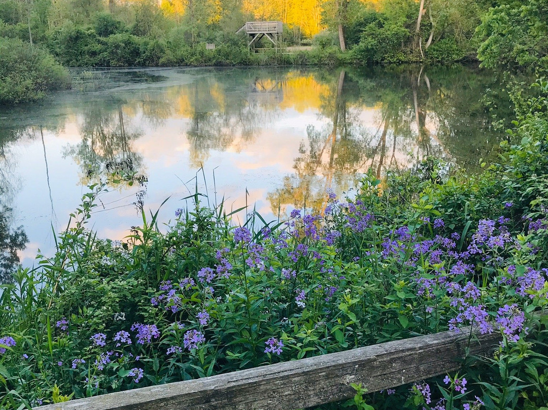 ForMar Nature Preserve-弗林特必去景点