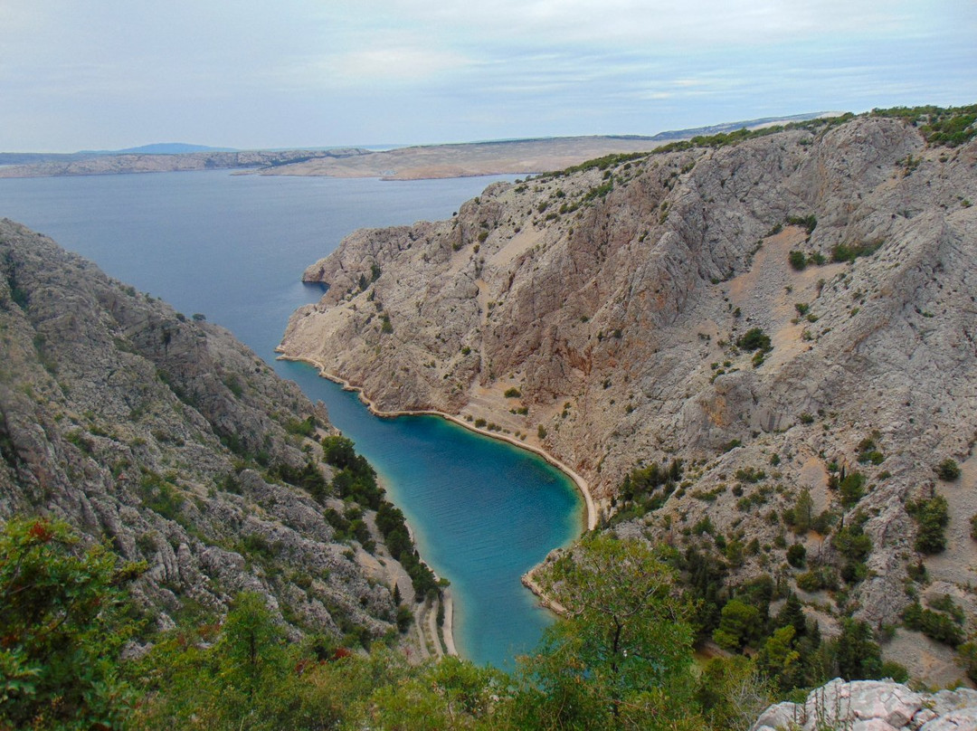 Uvala Zavratnica景点图片