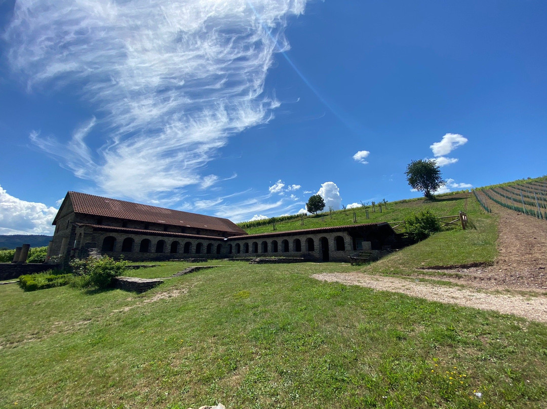 Romische Villa Urbana-Longuich必去景点