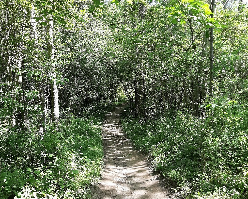 Wildwood Conservation Area-圣玛丽必去景点