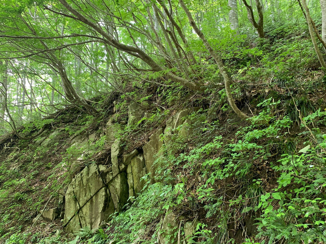 Mt. Azuma-庄原市必去景点