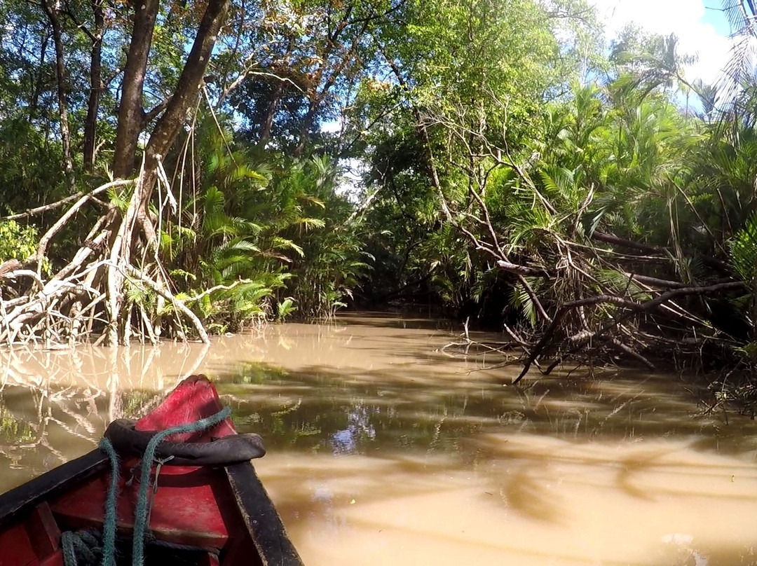 Furo do Miguelão-Ilha do Marajo必去景点