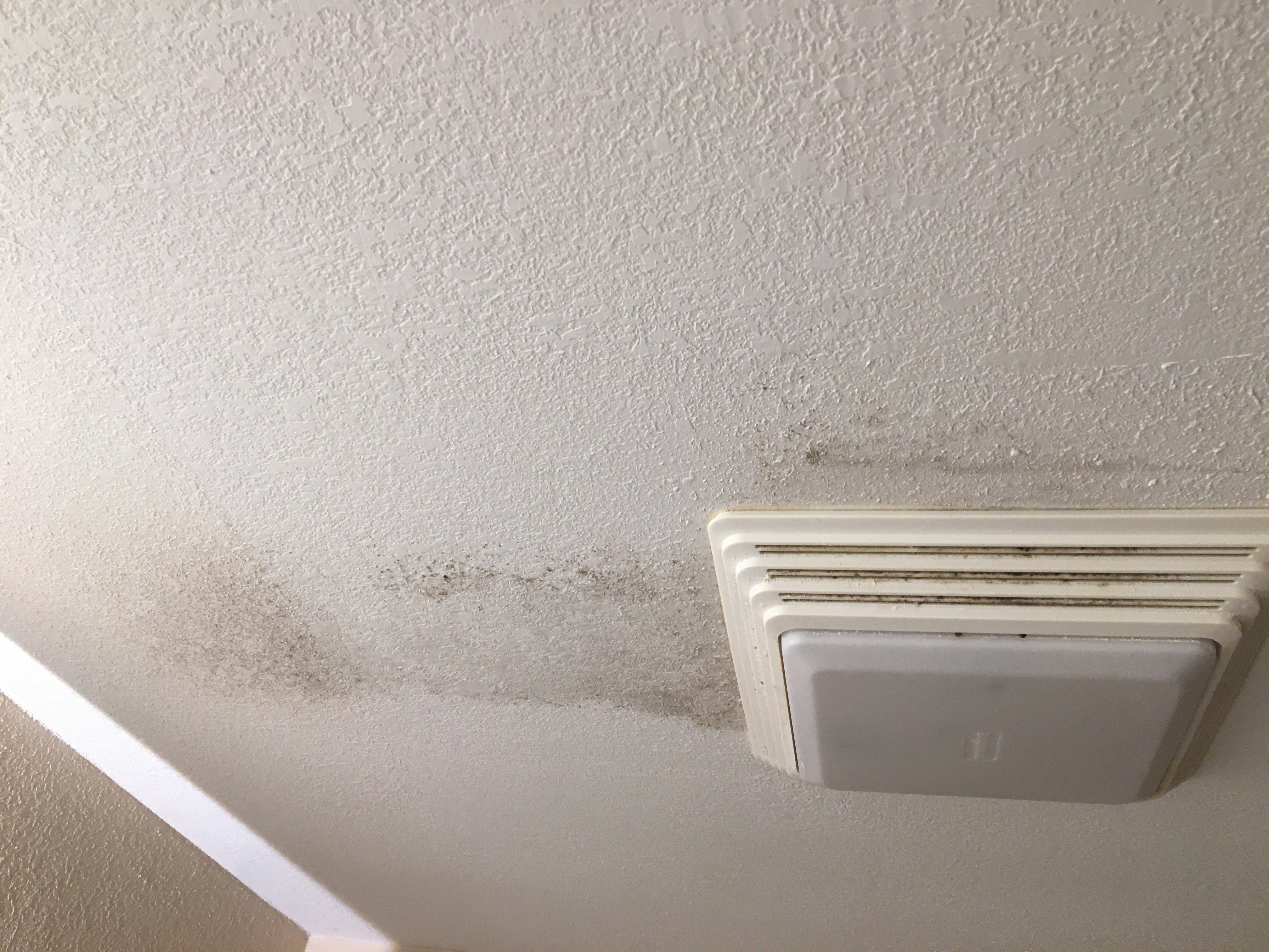 Red Roof Inn Pensacola Fairgrounds-浴室