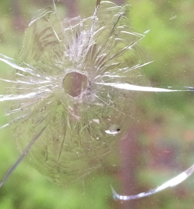 Exploseum景点图片