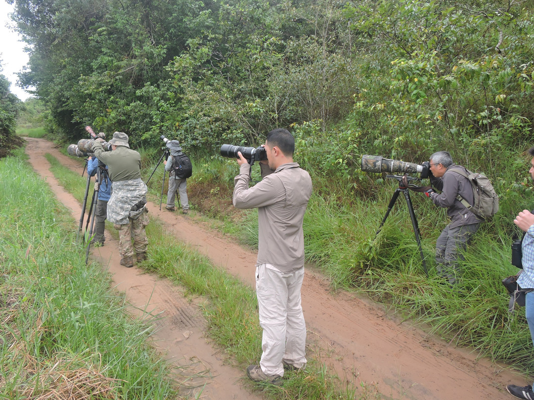Birding & Wildlife Colombia Tours景点图片