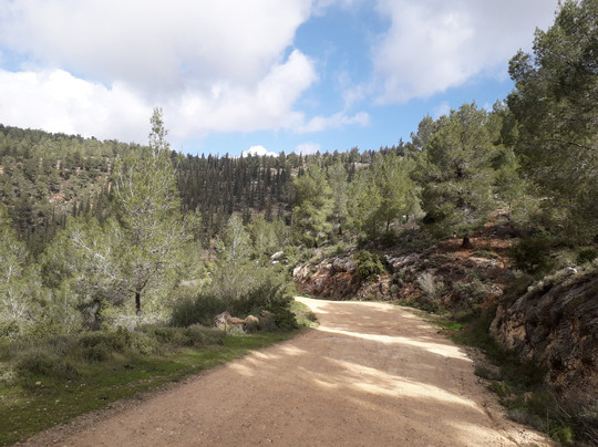 Bike Israel-特拉维夫必去景点