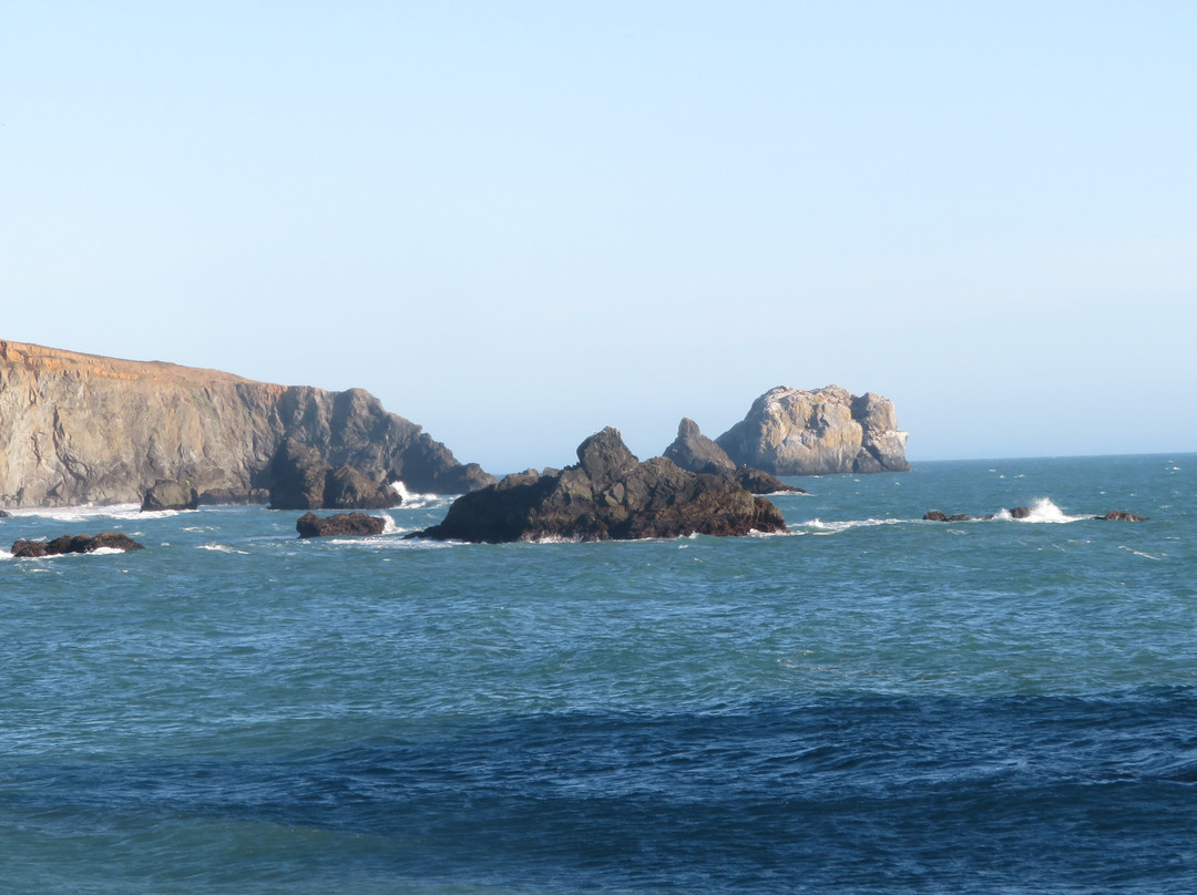 Goat Rock Beach景点图片