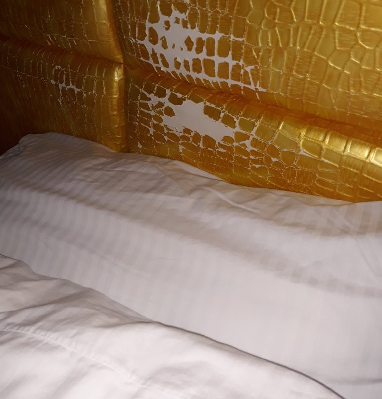 Best Western Inn主图