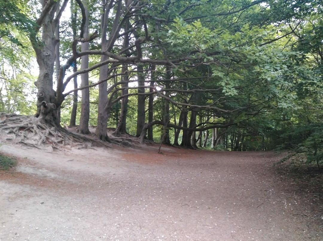 The Sharpenhoe Clappers景点图片
