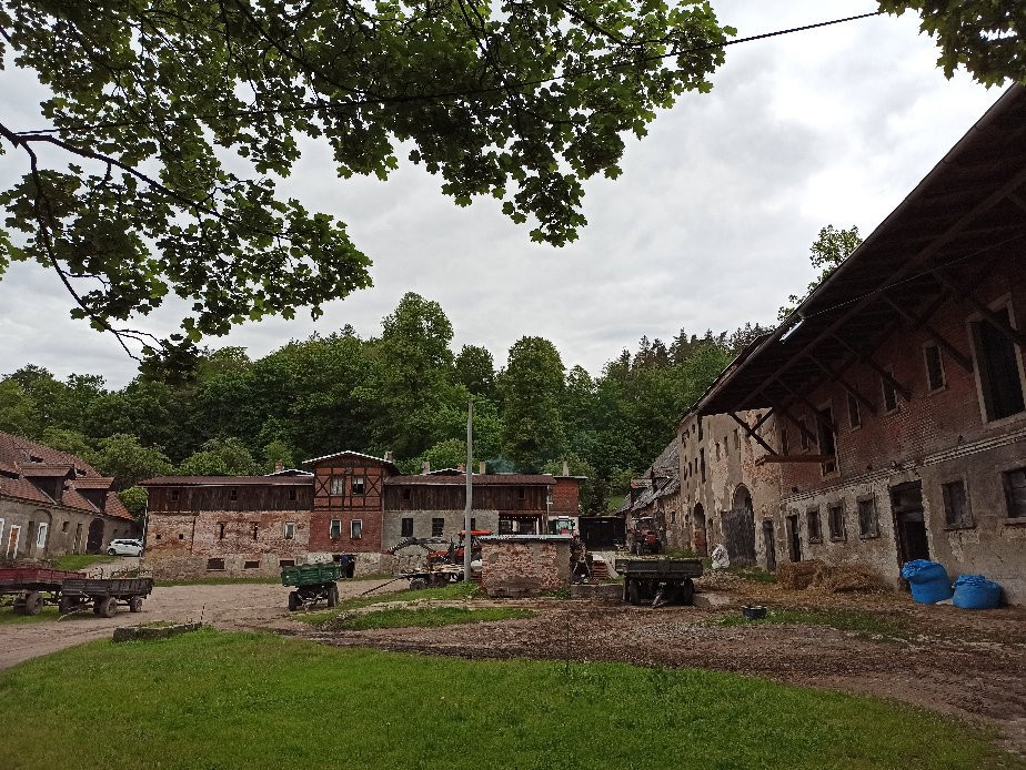 Agroturystyka Palac Dabrowica主图