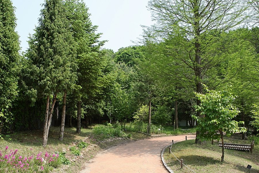 Hwanghaksan Arboretum-骊州郡必去景点