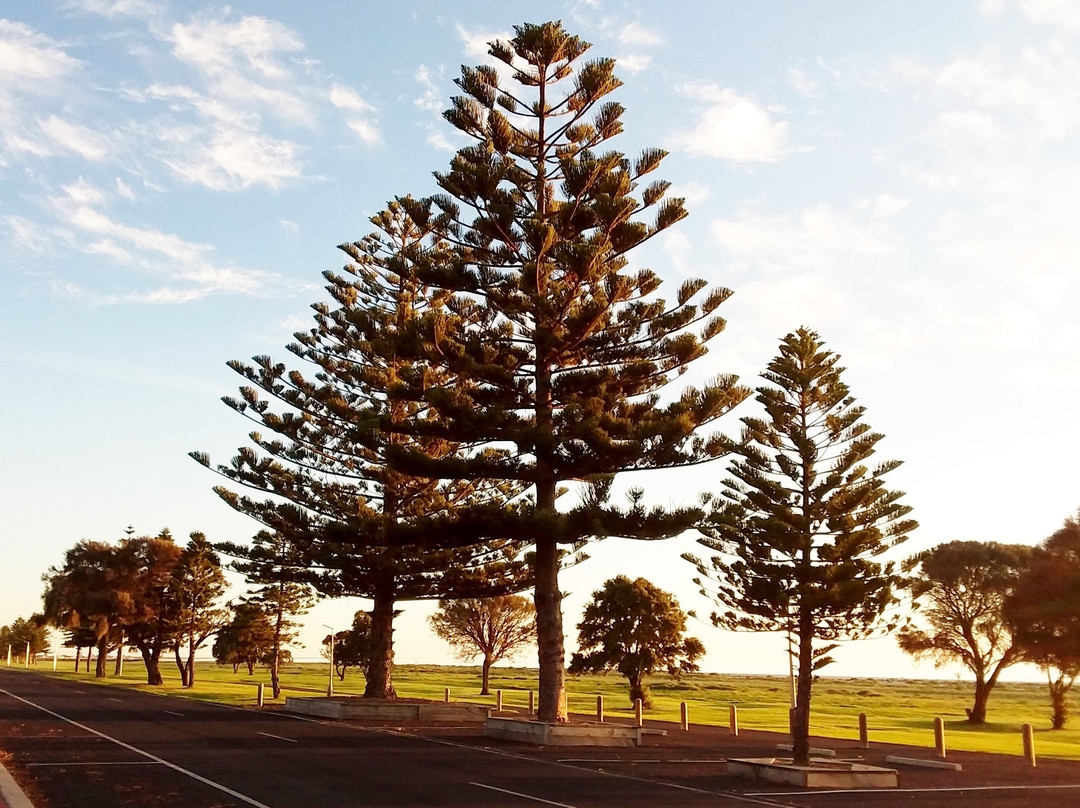 Lacepede Bay Motel & Restaurant主图