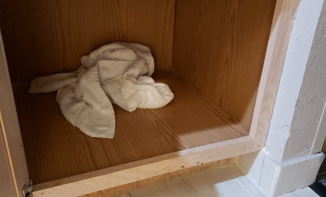 Country Inn & Suites by Radisson, Beaufort West, SC主图