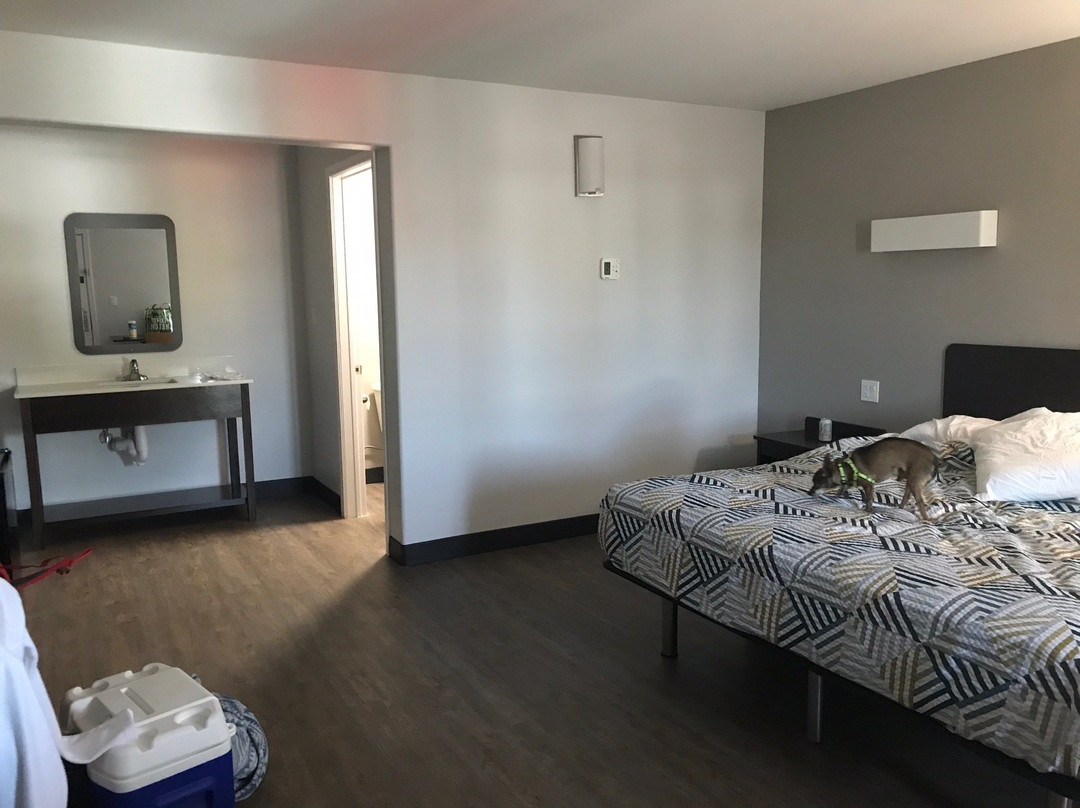 Taylor酒店住宿-Motel 6 Show Low, AZ