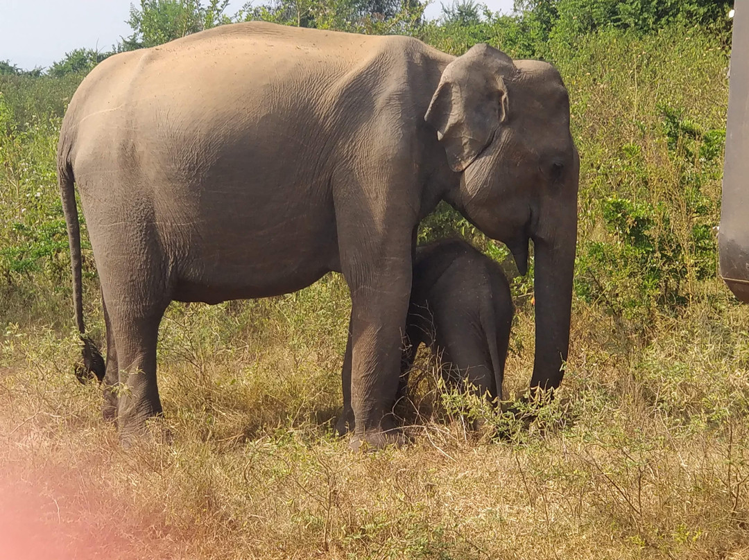 Exploration Travel Sri Lanka景点图片