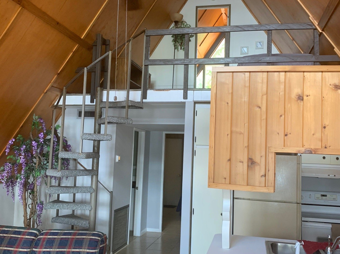 Homosassa River Retreat主图